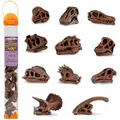 Safari Ltd Dinosaurier-schädel Toob-figur