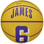 Wilson Nba Player Icon Mini Bskt Lebron