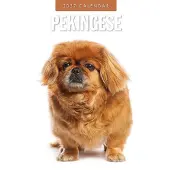 Merkloos Pekingeser Mondkalender 2027, 30,5 x 30,5 cm