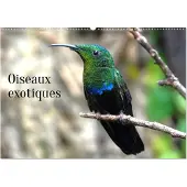 CALVENDO Exotische Vögel (Wandkalender 2027, DIN A2, Hochformat), Monatskalender