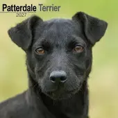 Avonside Publishing Ltd. Patterdale Terrier Kalender 2027