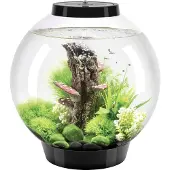 Oase Tabletop Aquarien »CLASSIC«, mit LED Beleuchtung, 30 l, schwarz