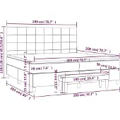 vidaXL Boxspringbett mit Matratze Schwarz 200x200 cm Samt