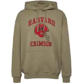 s.Oliver Sweatshirts Army Green Größe: M | Kaputzenpullis Outlet | Herren | Grün