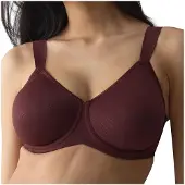 Triumph Essential Minimizer T W Minimizer-BH