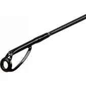 Mikado Bixlite Power Spinnrute