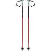 Völkl Phantastick 18mm Stöcke