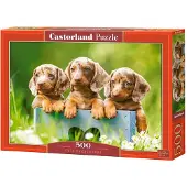 Castorland 500 Piece Jigsaw Puzzles, Cute Dachshunds, Animal Puzzle, Dogs, Puppies, Adult Puzzle, B-53605