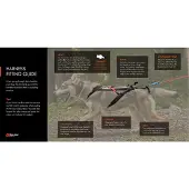 Non-Stop Dogwear Hundegeschirr Line Harness 5.0 grün