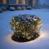 Esotec Solar Lichterkette Outdoor LED Gartenbeleuchtung Terrasse Balkon 103501