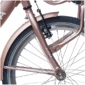 Alpina Fork 22 Clubb Rose Gold Matt