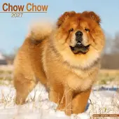 Avonside Publishing Ltd. Chow-Chow Kalender 2027