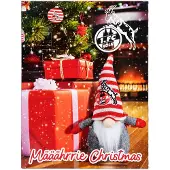 1. FC Köln Adventskalender 75g
