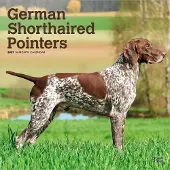 BrownTrout Deutscher Stehkalender 2027