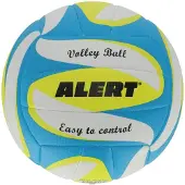 Alert Volleyball
