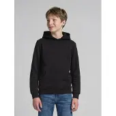 Tom Tailor Kapuzensweatshirt, mit Rückenprint