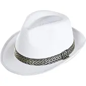 Widmann Panamahut Band