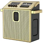 Mondo By Defunc Bluetooth Speaker Medium Brass/Black