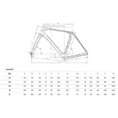 Bianchi Fahrrad Impulso Comp Shimano GRX RD-RX820 12V | Größe M / 170-175 cm