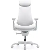 Libernovo - LNGL1Omni - Ergonomischer Stuhl