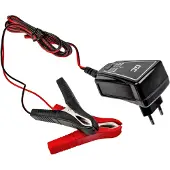 Green Cell ACAGM06, 12/6 V, 1 A, 220 - 240 V, 50 Hz, Überlastschutz, IP65