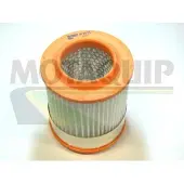 MOTAQUIP Luftfilter VFA1125