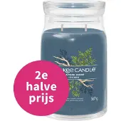 Yankee candle Bayside Cedar Duftkerze Signature 567 g