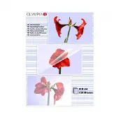 Olympia 9185, Transparent, A4, 429 mm, 19 mm, 306 mm, 525 g