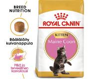 Royal Canin Kitten Maine Coon Katzenfutter | 2 kg