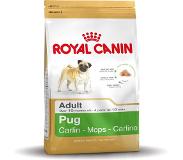 Royal Canin Adult Mops Hundefutter | 7.5 kg