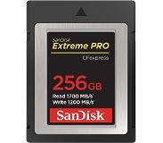 SanDisk Extreme PRO CFexpress Card 256GB