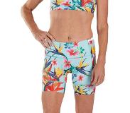 Zoot Ltd 6´´ 83 19 Shorts Grün XS Frau