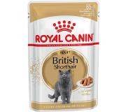 Royal Canin British Shorthair Adult 12x85g Wet Cat Food Mehrfarbig