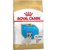 Royal Canin French Bulldog Puppy - 3 kg