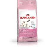Royal Canin Mother Babycat Poultry Adult 4kg Cat Food Mehrfarbig 4kg