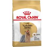 Royal Canin Yorkshire Terrier Adult 1.5kg Dog Food Mehrfarbig 1.5kg