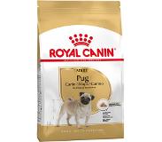Royal Canin Pug (Mops) Adult - 3 kg