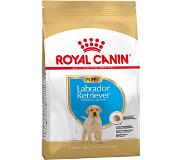Royal Canin Labrador Retriever Puppy 3kg Dog Food Mehrfarbig 3kg