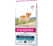 Eukanuba Breeds Nutrition Labrador Retriever Adult 12 Kg Dog Food Mehrfarbig
