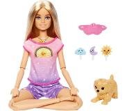 Barbie - Mediation Doll (HHX64)
