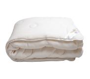 Vitality Pur | 4-Jahreszeiten-Bettdecke Weiß Polyester 200x140 cm | NADUVI