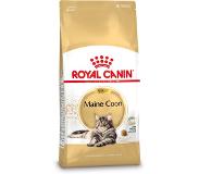 Royal Canin Maine Coon Adult 4kg Cat Food Mehrfarbig 4kg