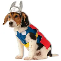 Rubies Thor Hundekostüm