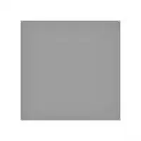 LEE Filters ND-Filter ND0.6 100x100mm ND6100U2