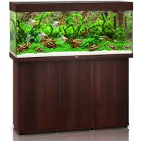Juwel Rio 240 LED Aquarium mit Unterschrank helles Holz