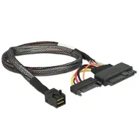 DeLOCK SFF-8643 auf U.2 Port