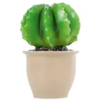 Egmont toys Heico Lampe Kaktus im Blumentopf 27x16,5 cm