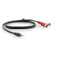 Kramer Electronics C-A35M/2RAM-10, 3.5mm, Männlich, 2 x RCA, Männlich, 3 m, Schwarz