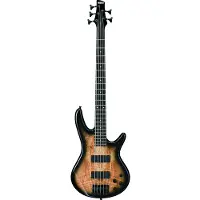 Ibanez GSR205SM-NGT Natural Grey Burst