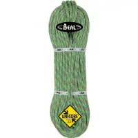 BEAL - Tiger 10 mm - Einfachseil Gr 60 m grün